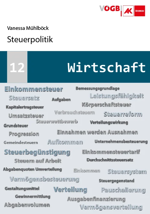 Steuerpolitik